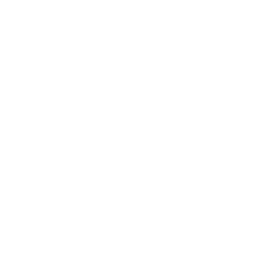 logo light